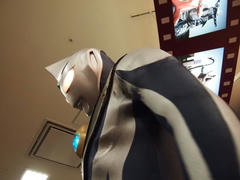 PA281791.jpg