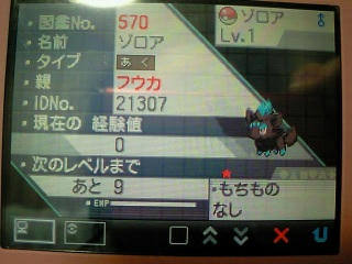色ゾロア