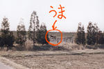 scn001.jpg