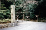 scn010.jpg