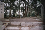 scn021.jpg