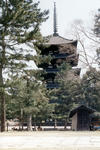 scn009.jpg