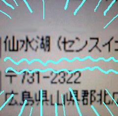 ズーム（ラクガキ入）