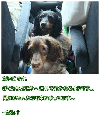 20101015-01
