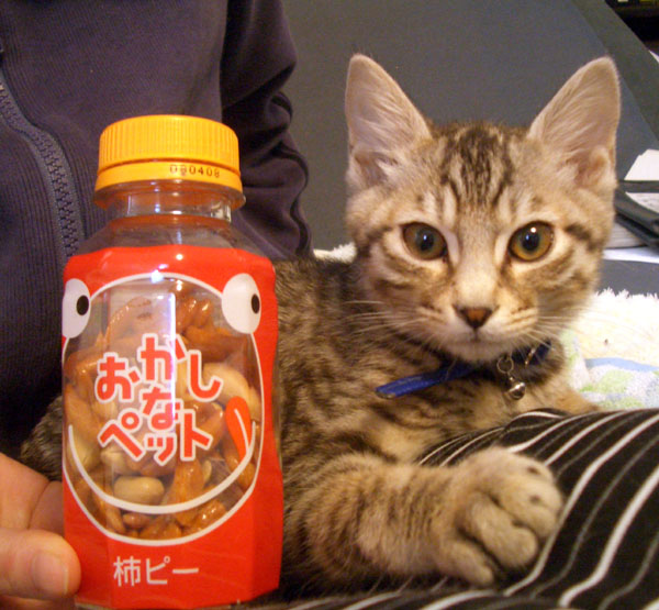 画像ファイル "http://blog.cnobi.jp/v1/blog/user/49c2eb87112434e9763758fdfecb9acd/1203125700" は壊れているため、表示できませんでした。