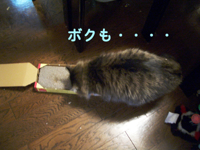 画像ファイル "http://blog.cnobi.jp/v1/blog/user/49c2eb87112434e9763758fdfecb9acd/1204729483" は壊れているため、表示できませんでした。