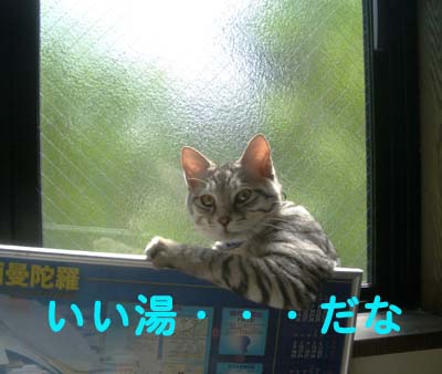 画像ファイル "http://blog.cnobi.jp/v1/blog/user/49c2eb87112434e9763758fdfecb9acd/1213180482" は壊れているため、表示できませんでした。