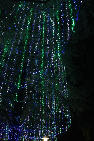 画像ファイル "http://blog.cnobi.jp/v1/blog/user/49c2eb87112434e9763758fdfecb9acd/1227963976" は壊れているため、表示できませんでした。