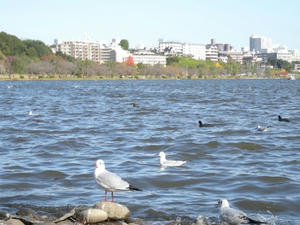 DSCN1841.JPG