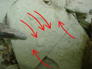 ddfmkhwz_175grp876dj_b.jpg