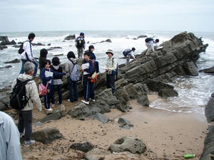 PA250085.JPG