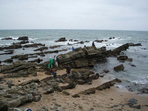 PA240004.JPG