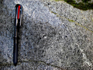 DSCN4576.JPG