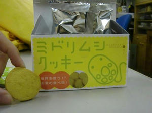 CIMG0801.blog.JPG
