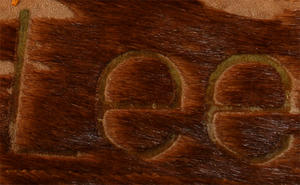 b0515f76.jpg