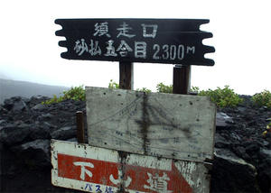 d651c3a8.jpg