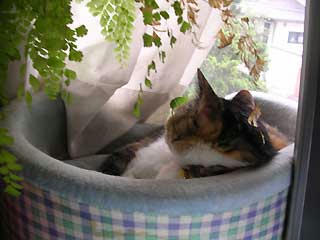 DSCN2858.jpg