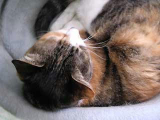 DSCN2857.jpg