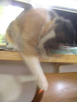DSCN2880.jpg