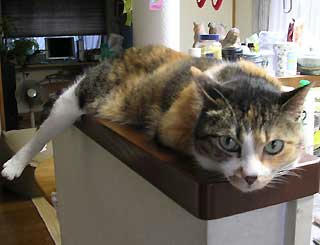 DSCN2883.jpg