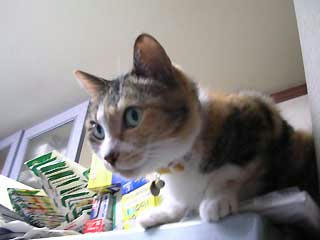 DSCN2891.jpg