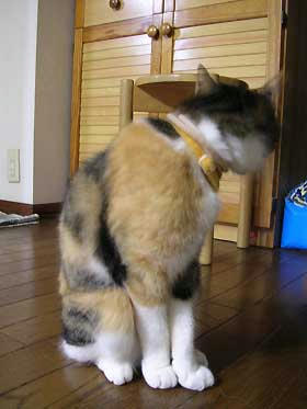 DSCN2896.jpg