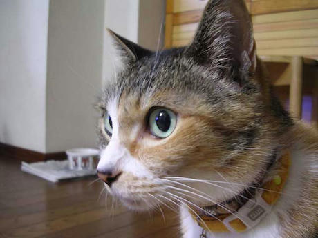 DSCN2899.jpg