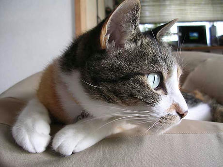 DSCN2907.jpg