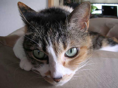 DSCN2906.jpg