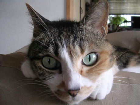 DSCN2900.jpg