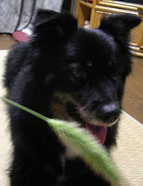 DSCN2920.jpg