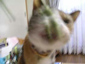 DSCN2930.jpg