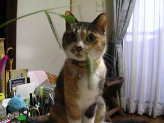 DSCN2938.jpg
