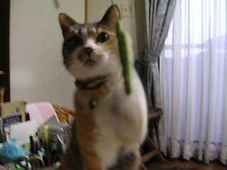 DSCN2939.jpg