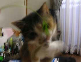 DSCN2941.jpg