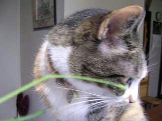 DSCN2948.jpg