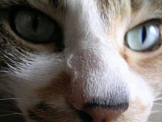 DSCN2904.jpg