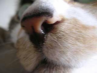 DSCN2905.jpg