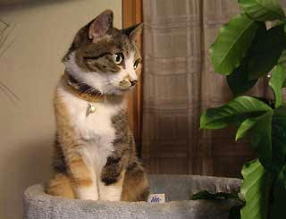 DSCN2955.jpg