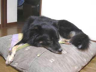 DSCN1868.jpg