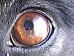 DSCN1900.jpg