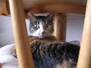 DSCN2971.jpg
