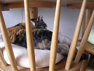 DSCN2970.jpg