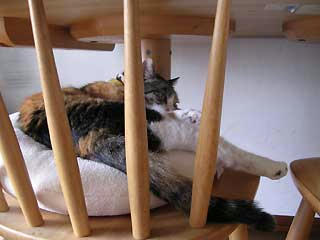 DSCN2968.jpg