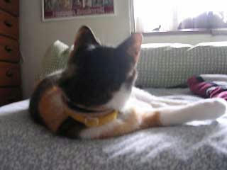 DSCN2979.jpg