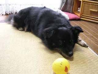 DSCN2985.jpg