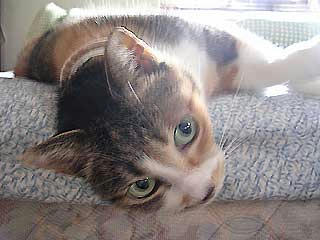 DSCN2982.jpg