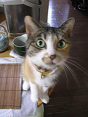 DSCN2987.jpg