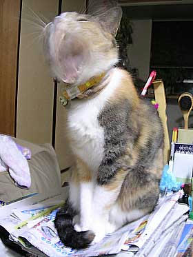 DSCN2995.jpg
