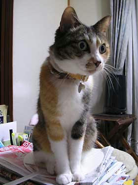 DSCN2999.jpg